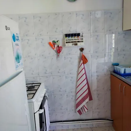Garsoniera Doina Apartment *